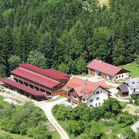 Ferienwohnungen Bauernhof Schilcher Sankt Stefan im Lavanttal エクステリア 写真
