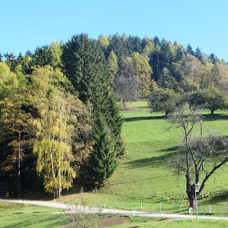 Ferienwohnungen Bauernhof Schilcher Sankt Stefan im Lavanttal エクステリア 写真