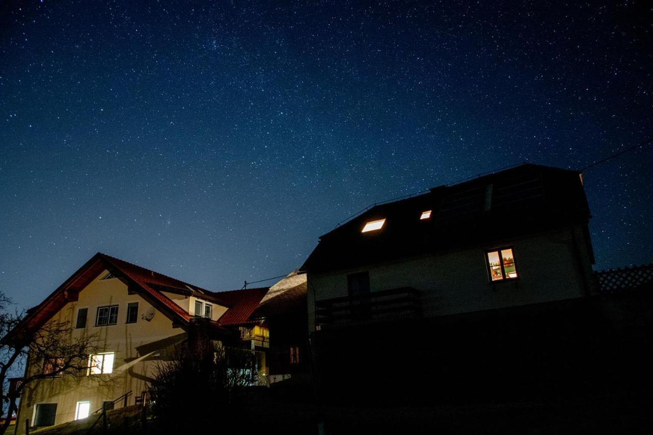 Ferienwohnungen Bauernhof Schilcher Sankt Stefan im Lavanttal エクステリア 写真