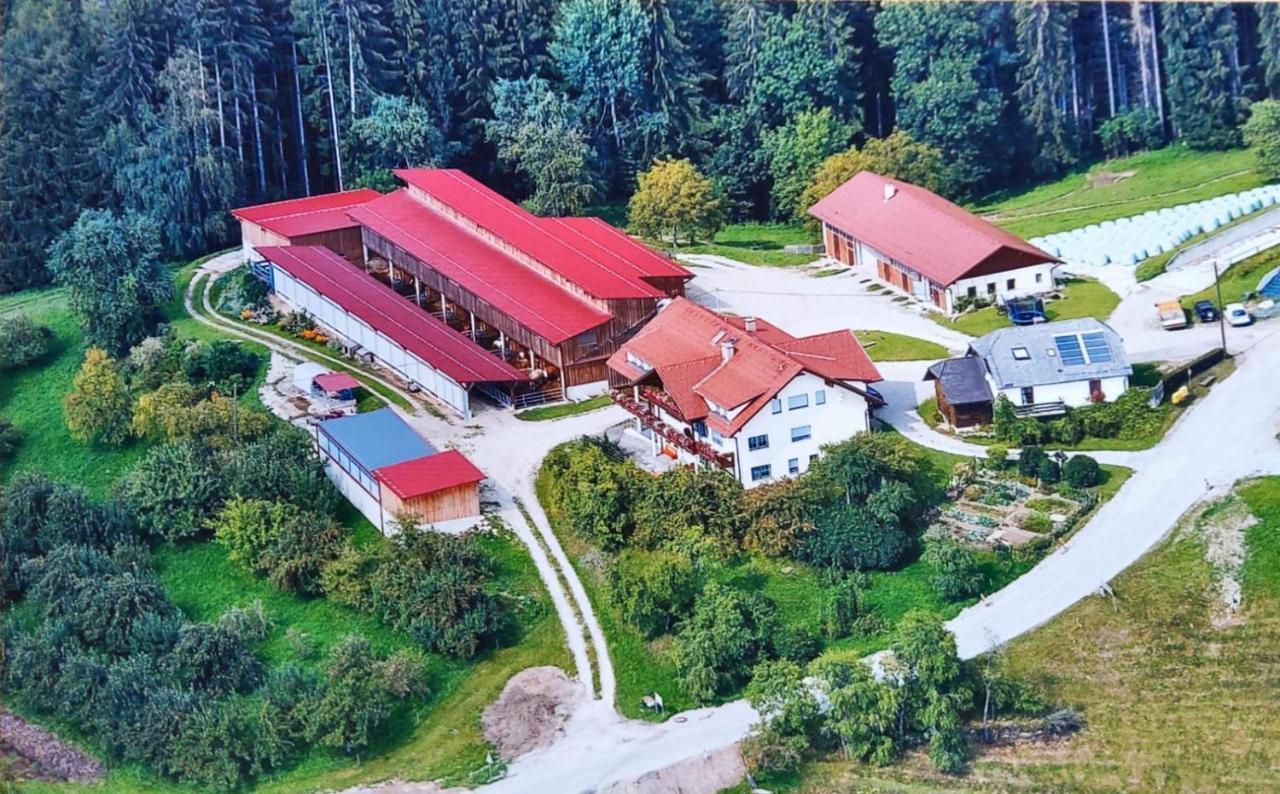Ferienwohnungen Bauernhof Schilcher Sankt Stefan im Lavanttal エクステリア 写真