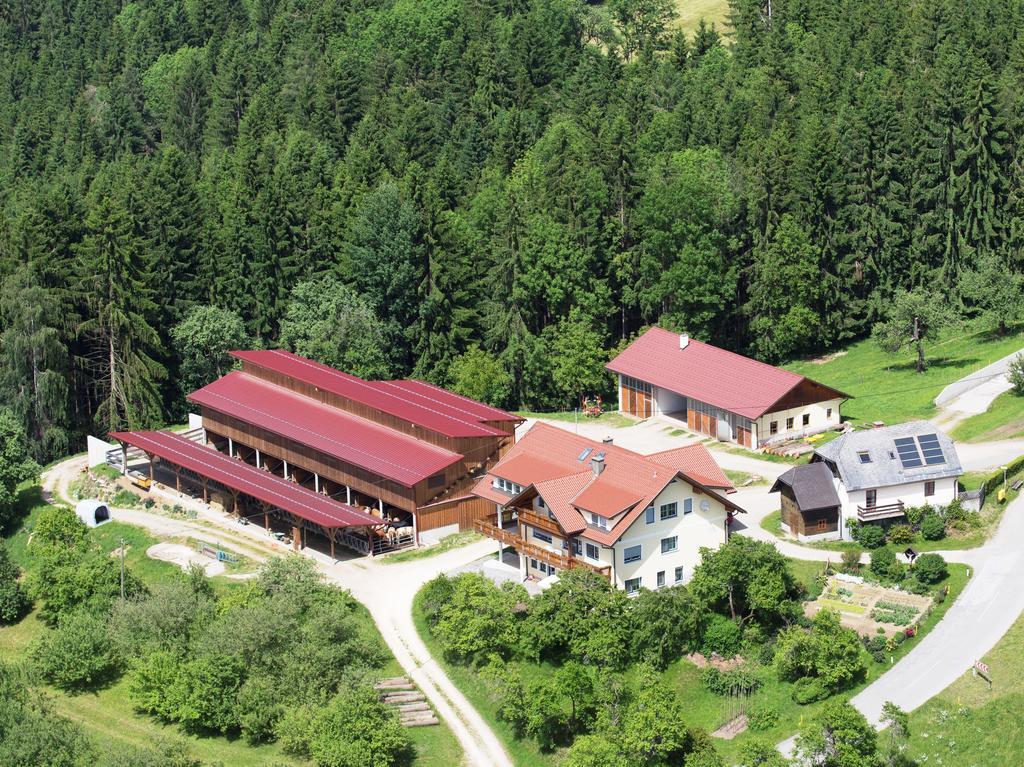 Ferienwohnungen Bauernhof Schilcher Sankt Stefan im Lavanttal エクステリア 写真