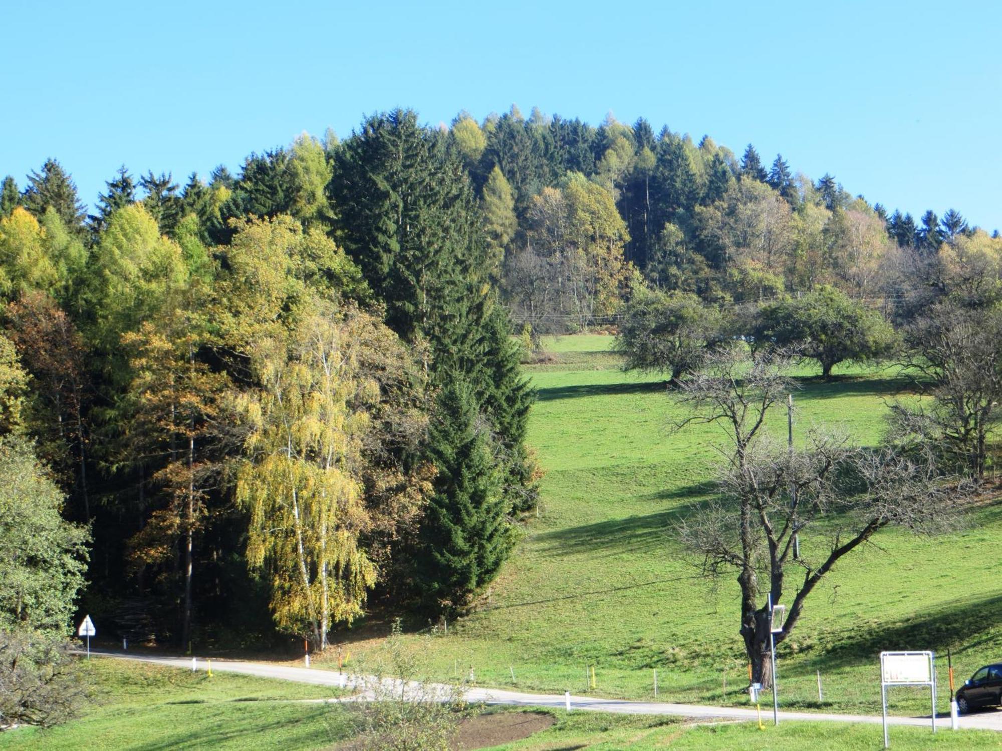 Ferienwohnungen Bauernhof Schilcher Sankt Stefan im Lavanttal エクステリア 写真