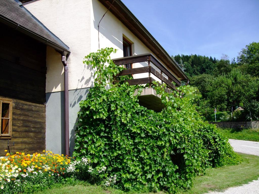 Ferienwohnungen Bauernhof Schilcher Sankt Stefan im Lavanttal エクステリア 写真