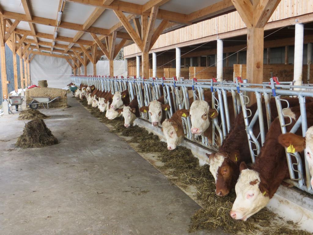 Ferienwohnungen Bauernhof Schilcher Sankt Stefan im Lavanttal エクステリア 写真