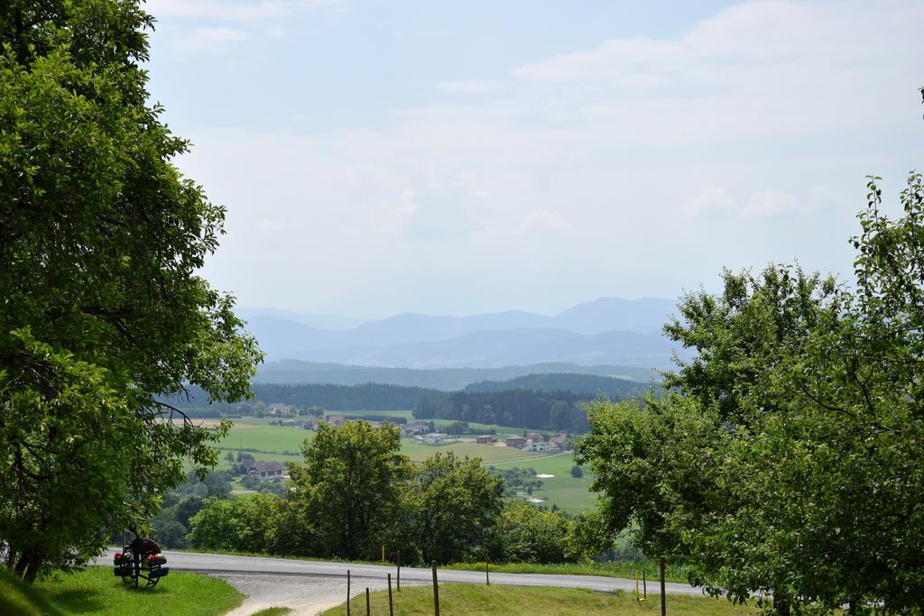 Ferienwohnungen Bauernhof Schilcher Sankt Stefan im Lavanttal エクステリア 写真
