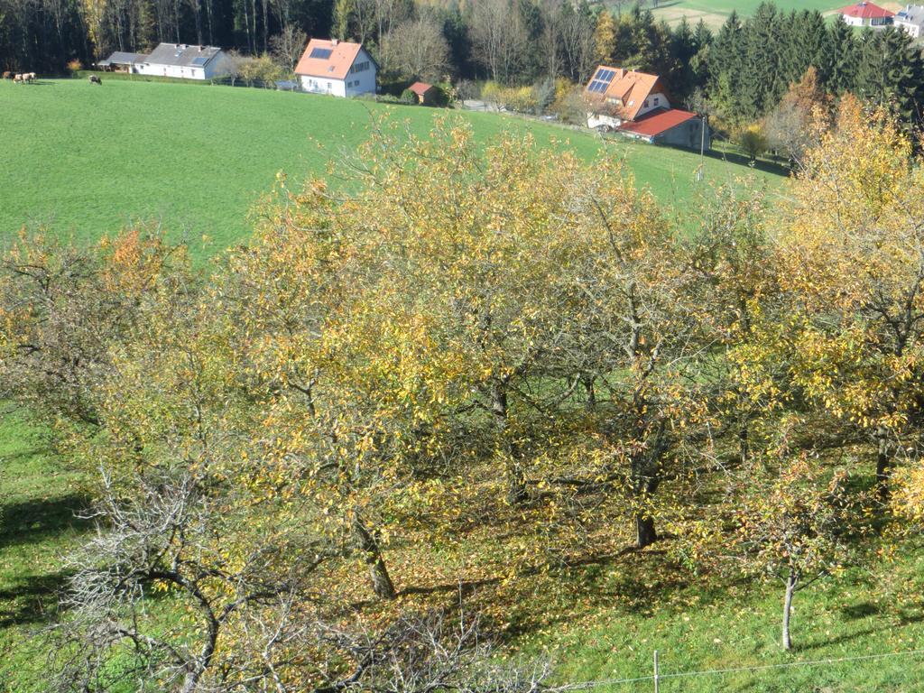 Ferienwohnungen Bauernhof Schilcher Sankt Stefan im Lavanttal エクステリア 写真