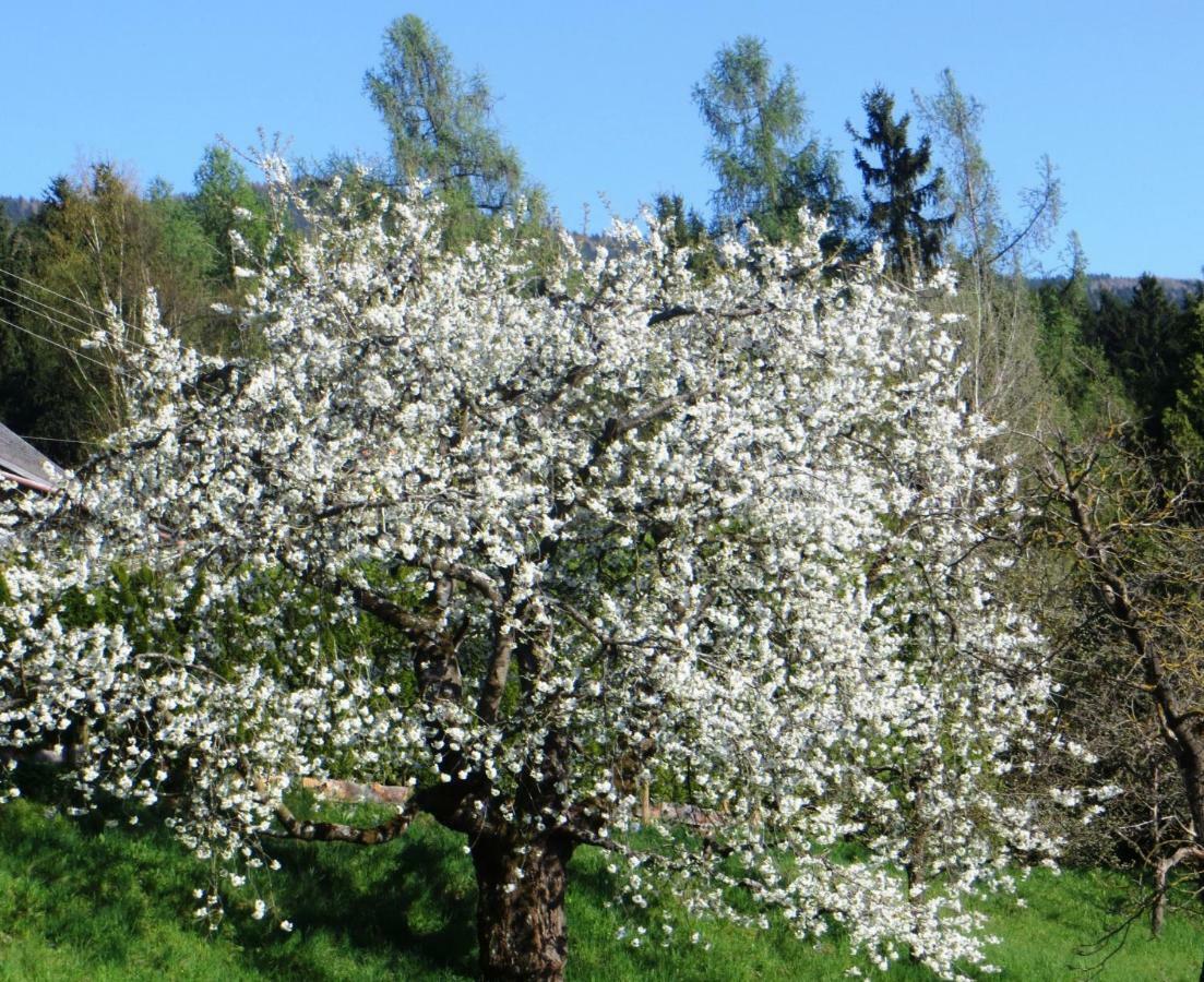 Ferienwohnungen Bauernhof Schilcher Sankt Stefan im Lavanttal エクステリア 写真